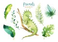 Baby animals nursery isolated illustration for children. Watercolor boho tropical drawing, child cute tropic iguana