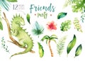 Baby animals nursery isolated illustration for children. Watercolor boho tropical drawing, child cute tropic iguana