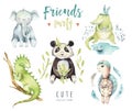 Baby animals nursery isolated illustration for children. Watercolor boho tropical drawing, child punda, crocodile Royalty Free Stock Photo