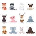 Baby animals set. Royalty Free Stock Photo