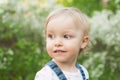 Baby in apple blossom garden in sunlight. Cute happy summer blond girl Royalty Free Stock Photo