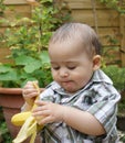 Baby and banana Royalty Free Stock Photo