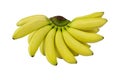 Baby bananas branch isolated on a white background Royalty Free Stock Photo