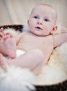 Baby in basket Royalty Free Stock Photo