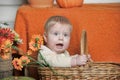 Baby in the basket Royalty Free Stock Photo