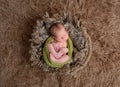 Baby in a basket, topshot Royalty Free Stock Photo