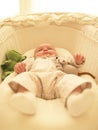 Baby in Bassinet