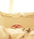 Baby in Bassinet