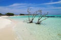 Baby Beach - Aruba