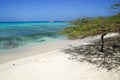 Baby Beach - Aruba Royalty Free Stock Photo