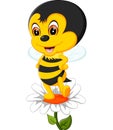 Baby Bee cartoon Royalty Free Stock Photo