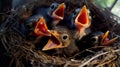 Baby birds being fed by their mother Generate Ai Royalty Free Stock Photo