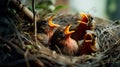 Baby birds being fed by their mother Generate Ai Royalty Free Stock Photo