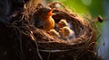 Baby birds being fed by their mother Generate Ai Royalty Free Stock Photo