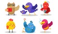 Different Kinds And Colors Of Baby Birds In Action Vector Illustrations Set Cartoon Character Royalty Free Stock Photo