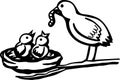 baby birds feeded by mother vector illustration