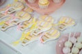 Baby birthday. French macaroons on a cake stand .Candy bar with macaron, cakes, cheesecakes, cake pops.