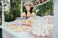 Baby birthday. French macaroons on a cake stand .Candy bar with macaron, cakes, cheesecakes, cake pops.