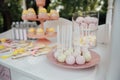 Baby birthday. French macaroons on a cake stand .Candy bar with macaron, cakes, cheesecakes, cake pops.