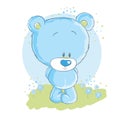 Baby blue bear