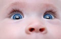 Baby blue eyes Royalty Free Stock Photo