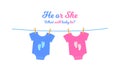 Baby bodysuits with blue and pink footprints hanging on the clothesline. Gender reveal party invitation card or banner Royalty Free Stock Photo