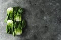 Baby bok choi halves on gray background. Top view, horizontal orientation with copy space