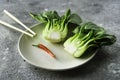 Baby bok choi halves on a plate on gray background Royalty Free Stock Photo