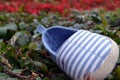 Baby Boot on Grass Royalty Free Stock Photo