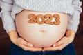 Baby born in 2023. Cropped photo of pregnant woman holding number 2023 of ginger cookies on belly.