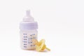 Baby bottle with milk and silicone pacifier Royalty Free Stock Photo