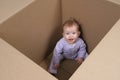 Baby in Box ready to be shipped Royalty Free Stock Photo