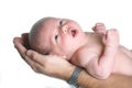 Baby boy Royalty Free Stock Photo