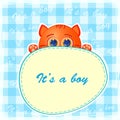 Baby boy announcement card Royalty Free Stock Photo
