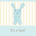 Baby boy arrival announcement card Royalty Free Stock Photo