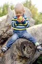 Baby boy biting an apple