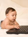 Baby boy checking e-mail on his parents laptop