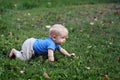Baby boy crawling on grass Royalty Free Stock Photo
