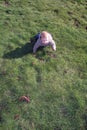 Baby boy crawling on grass