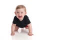 Baby Boy Crawling and Laughing Royalty Free Stock Photo