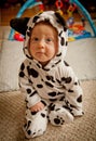 Baby boy In Dalmatian costume Royalty Free Stock Photo