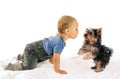 Baby boy and dog puppy playing