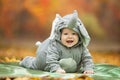 Baby boy dressed in elephant costume in park Royalty Free Stock Photo