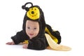 Baby boy dressed up like bee Royalty Free Stock Photo