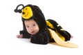 Baby boy dressed up like bee Royalty Free Stock Photo