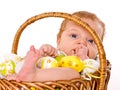 Baby boy in the Easter basket Royalty Free Stock Photo