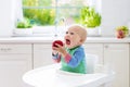 Baby boy eating apple in white kitchen at home Royalty Free Stock Photo