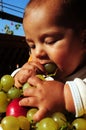 Baby boy eating grapes Royalty Free Stock Photo
