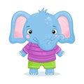 Baby boy elephant stands and smiles in a clothes. Cute animal on a white background. Vector illustration in a cartoon Royalty Free Stock Photo