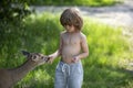 Baby boy feed fawn deer in park. Pretty kid with wild wildlife animal at outdoor. Kids adaptation concept.